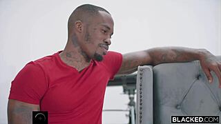 Ever tried a wild trio like this?