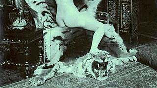 hey, check this vintage animation stuff... wild old-school vibes! 🐾