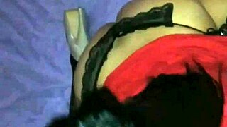 amateur blowjob on dick