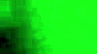 did there he go in that gay scene?