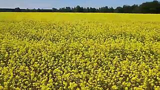 Hey, check this chubby cutie giving an outdoor blowjob with juicy nipples!