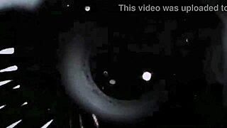 Vintage erotic drawings that tease with retro charm and hidden secrets