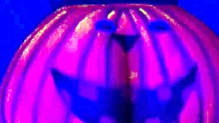 Twerking The Pumpkin, The Couple Says.