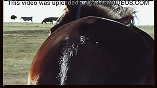 catchy oklahoma farm vibes in music video clip