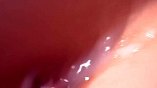 why watch doggy style penetration of big pussy in macro?