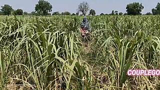 Gentle Girl In Field Taken Home By Owner Secretly