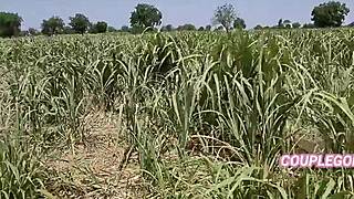 Gentle Girl In Field Taken Home By Owner Secretly