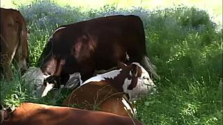 brooke banner big natural tits