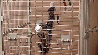 phoebe kalib, how does this massive interracial cock feel inside you?