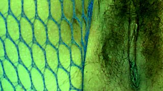 i caught my horny stepson sneaking into my bedroom for my hairy pussy