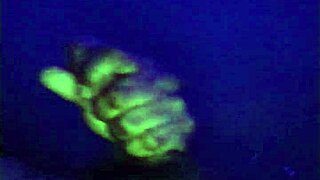 Tenia demasiada leche adentro, el novio de mi sis squirts in private homemade video