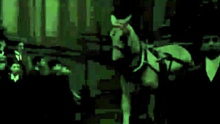 Vintage erotic art collection from retro archives