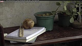 Rita Carelli - Abaixo A Gravidade - Br2017