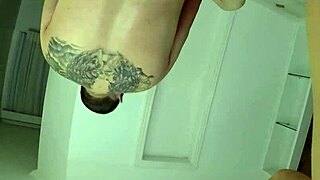 Two Cats Suck And Want Milk