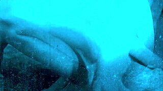 Vintage erotic sketches unveiled