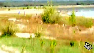 i'm horny from the swamp, briseida myers wants nudism and rough sex