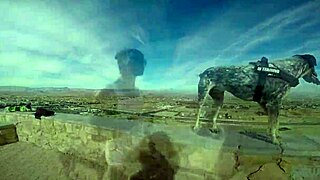 Outdoor public blowjob in a cave, caught with big cock sex and cumshot 💦