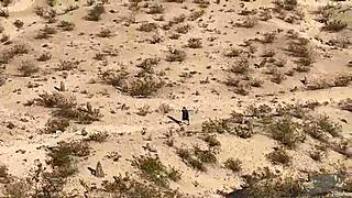 Outdoor public blowjob in a cave, caught with big cock sex and cumshot 💦