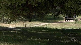 Bobbi Starr, Dylan Ryder, Julia Ann, Natasha Marley in Outdoor Orgy