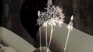 omg, i gotta tell ya bout vintage taboo family secrets from my secret life confessions!