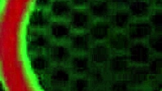 aaliyah love and cherie deville in a rimming threesome