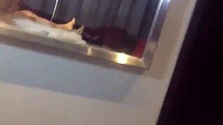 mañanero con mi novia amateurs young morning routine