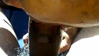 car blowjob with mature pov