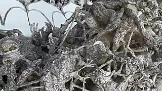 Exploring the Magical White Temple in Chiang Rai, Thailand