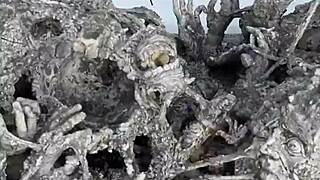 Exploring the Magical White Temple in Chiang Rai, Thailand