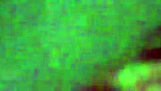 hey, i'm the puta from puebla 14