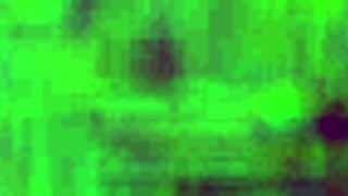 hey, i'm the puta from puebla 14