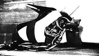 Brunette Cutie Licks Her New Sex Toy On Vagina!