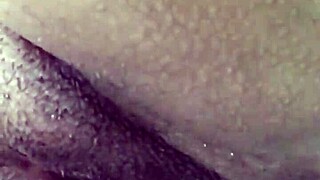 Vem Lamber Meus Labios Molhados