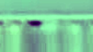 i dream of sexy sara jay duo muff diving and anal cowgirl