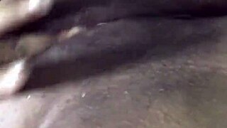 Vem Lamber Meus Labios Molhados