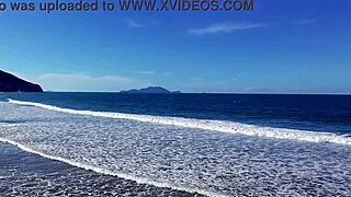 yo, ever tried a wild beach stroll like this one?