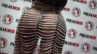 2021 miami exxxotica vlog captures exotic florida vibes