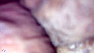 Amateur Part One Exploration