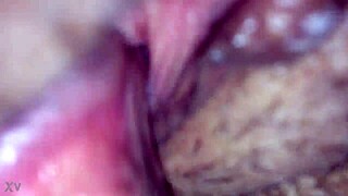 Amateur Part One Exploration