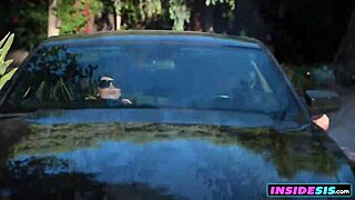 are stepbrothers fucking stepsisters poolside?