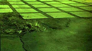 i got rough anal masturbation with group outdoor in hd, unless yer from the