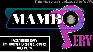 Bianca Dantas Screams, 'Five Huge BBCs Gangbanging My Ass!'