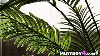 Exotic Asian Teen Kelly Lu Strips To Expose Big Tits