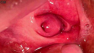 amateur pink pussy explored 172 days after losing virginity, wet and shaved for close-up cunilingus