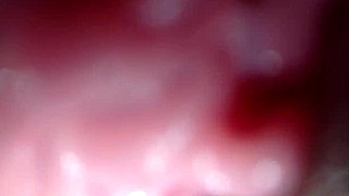 amateur shaved pussy reaches wet orgasm in one on one