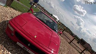 Carolina De Lys Commander Cock Outdoor