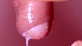 Japanese wife gives an intense blowjob in close-up action. Her skills leave everyone stunned.