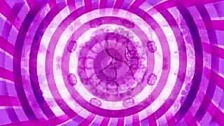 Bimbo Zone Sissy Training Teaser