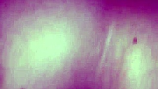 Hey, meet Mrs T and her hot tgirl friend with big tits for wild fun