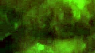 lil red young teen story unfolds